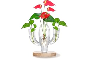 SuJolly Cactus-Shaped Plant Propagation Station With 3 Independent Areas for Various Plants - Gardening & Housewarming Gift f