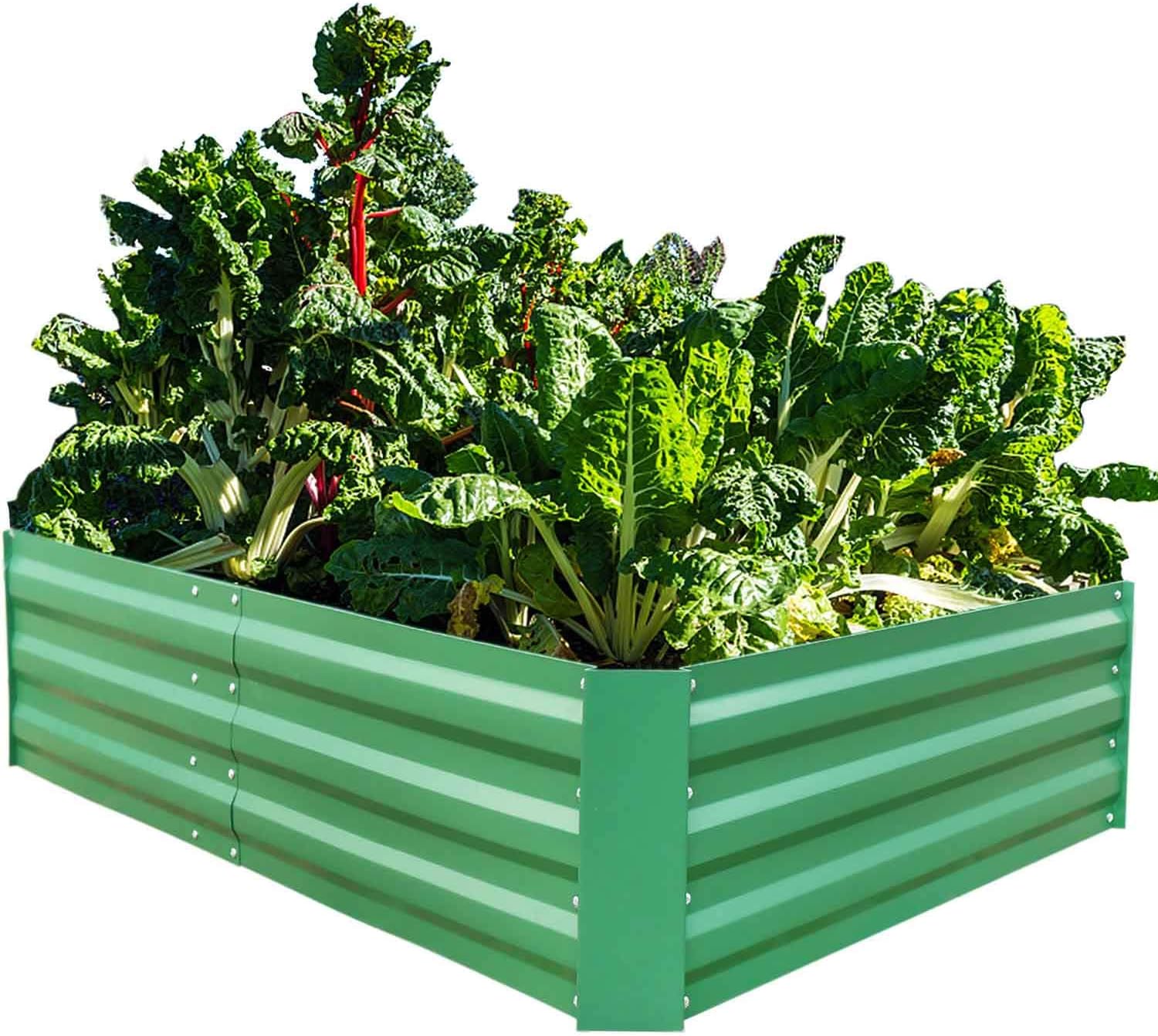 FOYUEE - Cajas elevadas de jardín, para Plantar Camas de jardín ...