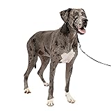 PetSafe Gentle Leader Headcollar No-Pull Dog Collar