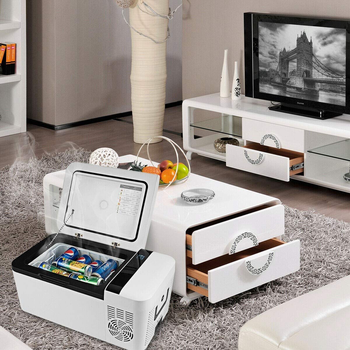 The 10 Best 10 In W Portable Refrigerator