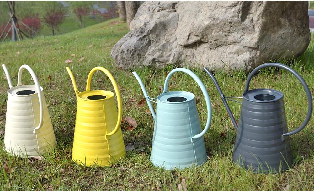HORTICAN Galvanized Watering Can Modern Style Watering Pot with Handle for Outdoor and Indoor House Plants (0.6 gal/Light Blue) : Garden & Outdoor