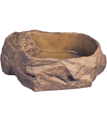 Zoo Med RRB-9 Repti Ramp Napf S – Wassernapf Mit Einstiegshilfe Für Kleine Reptilien & Amphibien, Aus Recyceltem Kunststoff, Spülmaschinenfest, Farbig Sortiert
