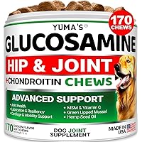 Glucosamine for Dogs - Hip and Joint Supplement for Dogs - 170 Ct - Glucosamine Chondroitin Chews - Joint Pain Relief Supplem