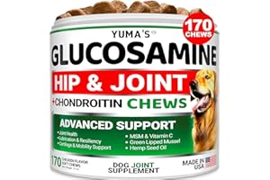 Glucosamine for Dogs - Hip and Joint Supplement for Dogs - 170 Ct - Glucosamine Chondroitin Chews - Joint Pain Relief Supplem