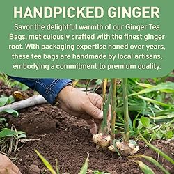 HANDPICK, Ginger Tea Bags