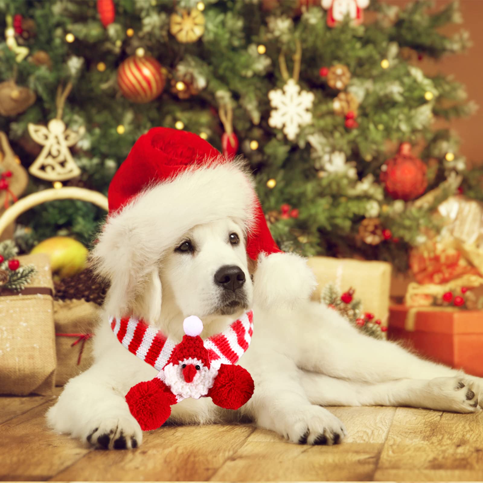 View 6
