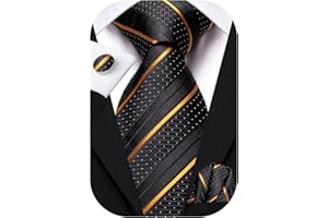 Hi-Tie 63" 70" Ties for Men Silk Extra Long Mens Ties Set and Pocket Square Cufflinks Paisley Necktie Business Wedding