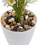 Hisredsun 2.1 lb Natural Polished Pebbles 0.4-1 inch River Rocks view 4