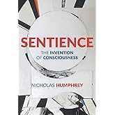 Sentience: The Invention of Consciousness