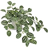 GnFlus Fake Hanging Plants, 20 Inch Artificial Ivy Plant in Ceramic Pot Faux Watermelon Peperomia Trailing Vine Plant Potted for Home Bedroom Office Table Shef Desk Indoor Outdoor Decor Green