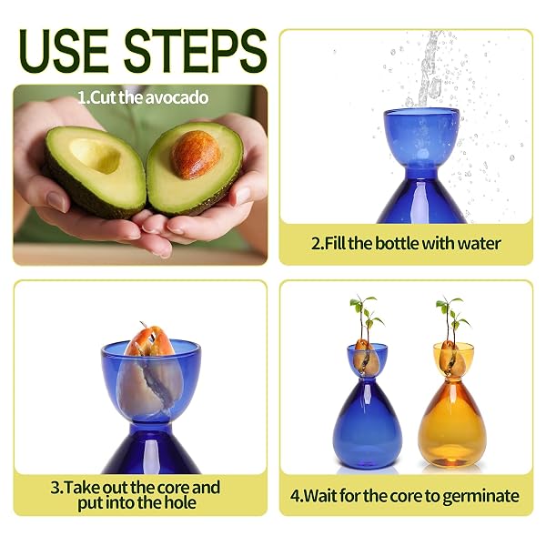 CYZGLASS AVOCADO VASE AVOCADO SEED STARTER VASE AVOCADO TREES LIVE PLANTS GROWING KIT GLASS PLANT VASE 2PC, 14*8.6CM, BLUE AMBER