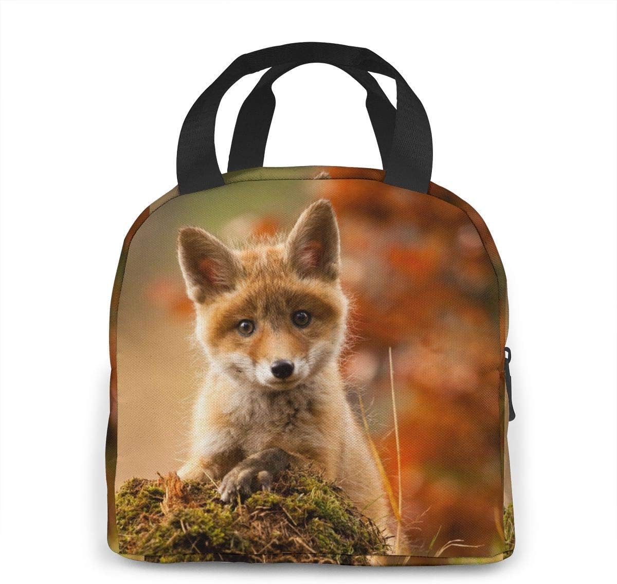Mignon Bebe Renard Boite A Lunch Sac De Repas Isole Sac A Lunch Reutilisable Sac A Collation Conteneur Alimentaire Travail Scolaire Voyage Pique Nique Rangement Et Organisation Cuisine Et Maison Nertili Al