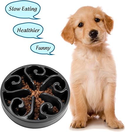 Amazon Com Xzqtive Dog Bowl Slow Feeder For Dog Funny Slow