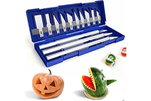 YOBEYUX 16 Piece Precision Craft Hobby Knife Kit, Utility Art Exacto Sharp Razor Knives Tool Set for Carving, Architecture Modeling, Scrapbooking, Sculpture, Wood Working-Stencil, DIY Art Work Cutting