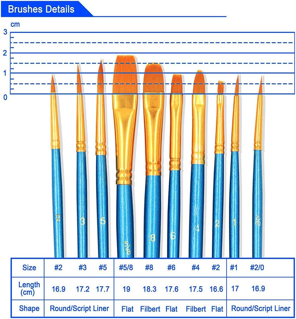 BOSOBO Paint Brushes Set, 2 Pack 20 Pcs Round Pointed Tip Paintbrushes Nylon Hair Artist Acrylic Paint Brushes for Acrylic Oil Watercolor, Face Nail Art, Miniature Detailing & Rock Painting, Blue
