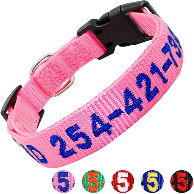Discover the Best Dog Collars with Name and Phone Number Top 10 Picks