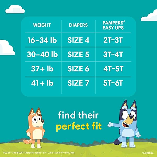 PAMPERS EASY UPS SIZE 5 100 CT OLD