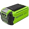 Greenworks 40V 2.5Ah Lithium-Ion Battery (Genuine Greenworks Battery / 75+ Compatible Tools)