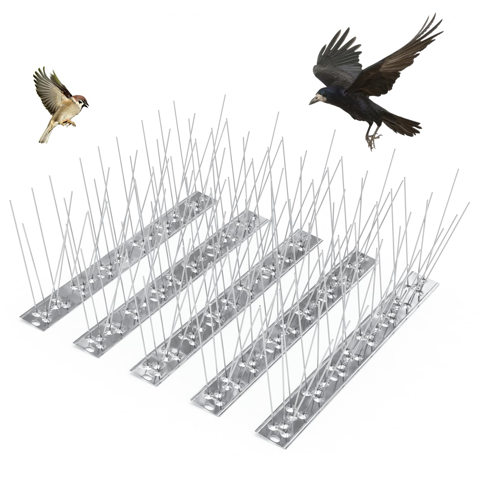 QianRuiDa Bird Spikes with Stainless Steel Base Fence Spike Anti Bird Spike Bird Spikes for Pigeon and Small Birds Squirrel Raccoon Cats Crow-5M