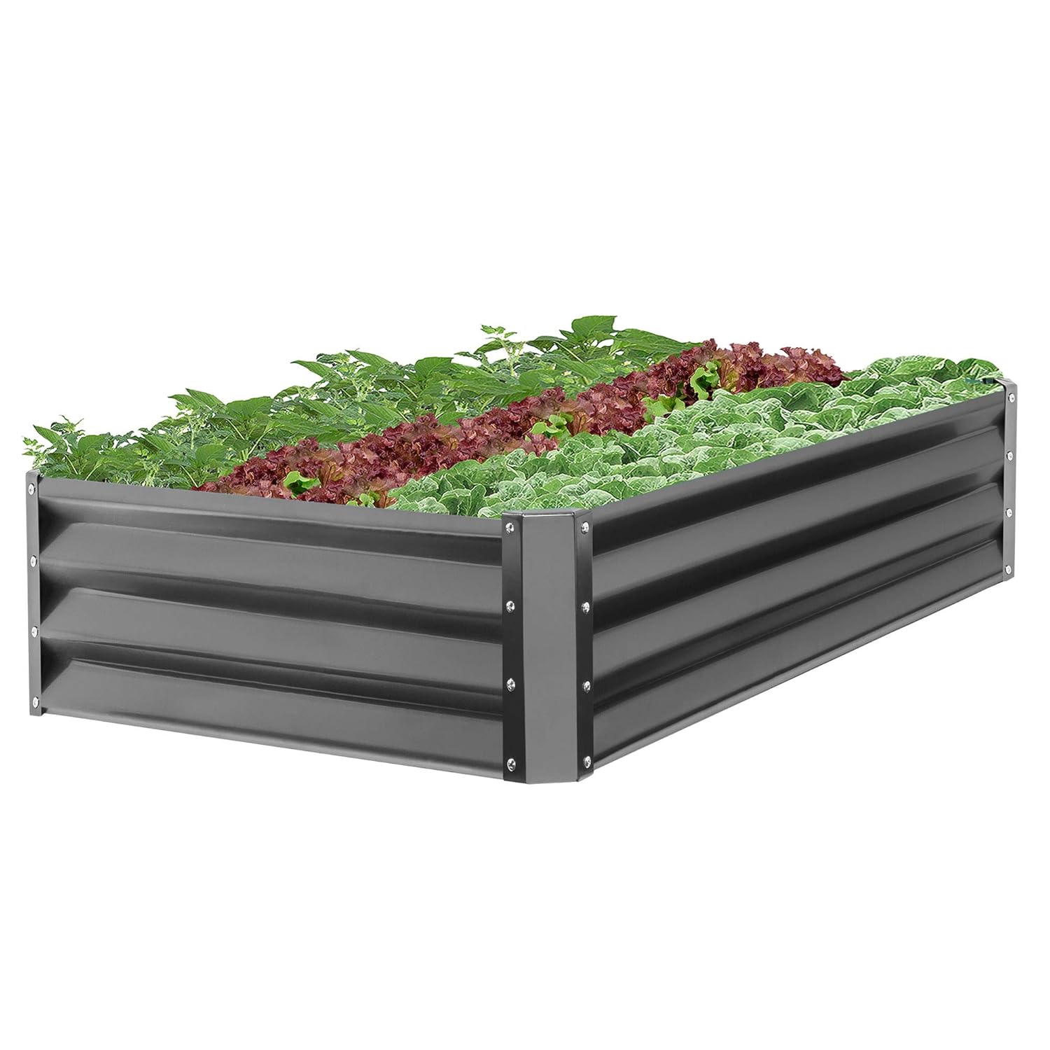 Best Garden Bed Decoration