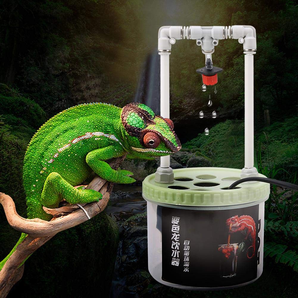 lizard water dripper