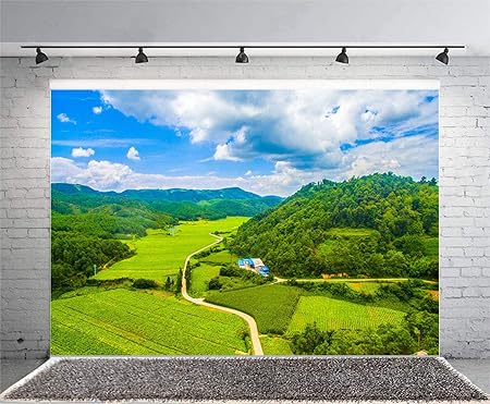 Telón de fondo natural de montaña LELELEZ de 7X5FT verde de césped con