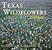 Texas Wildflowers (Texas Littlebooks) by