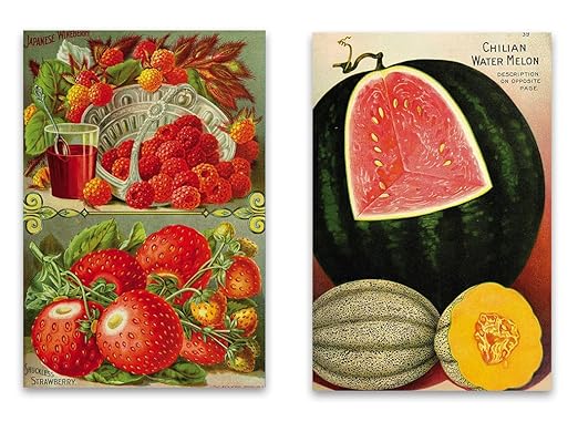 Vintage Botanical Garden imán para nevera – Juego de 2