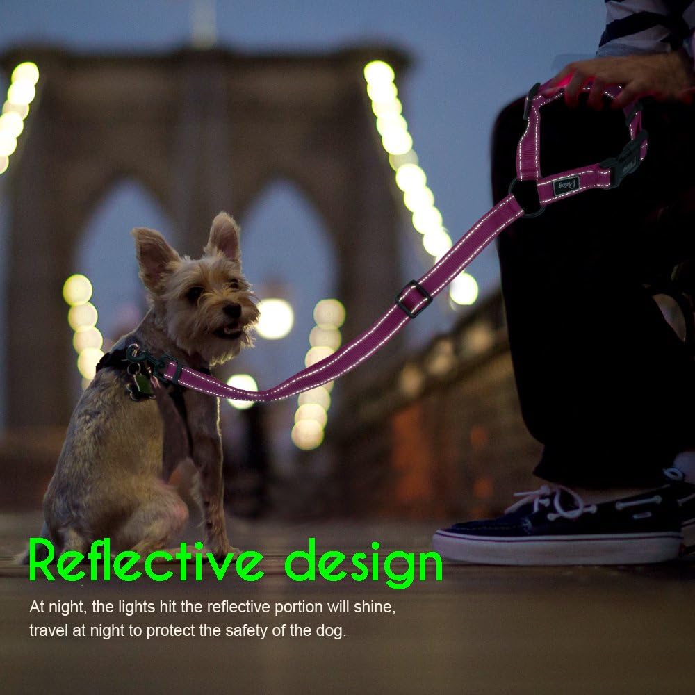 Didog Dog Vehicle Car Seat Belt Harness for Car Travel, Adjustable Dog Leashes Fit Small Medium Large Dogs, Black : Pet Supplies