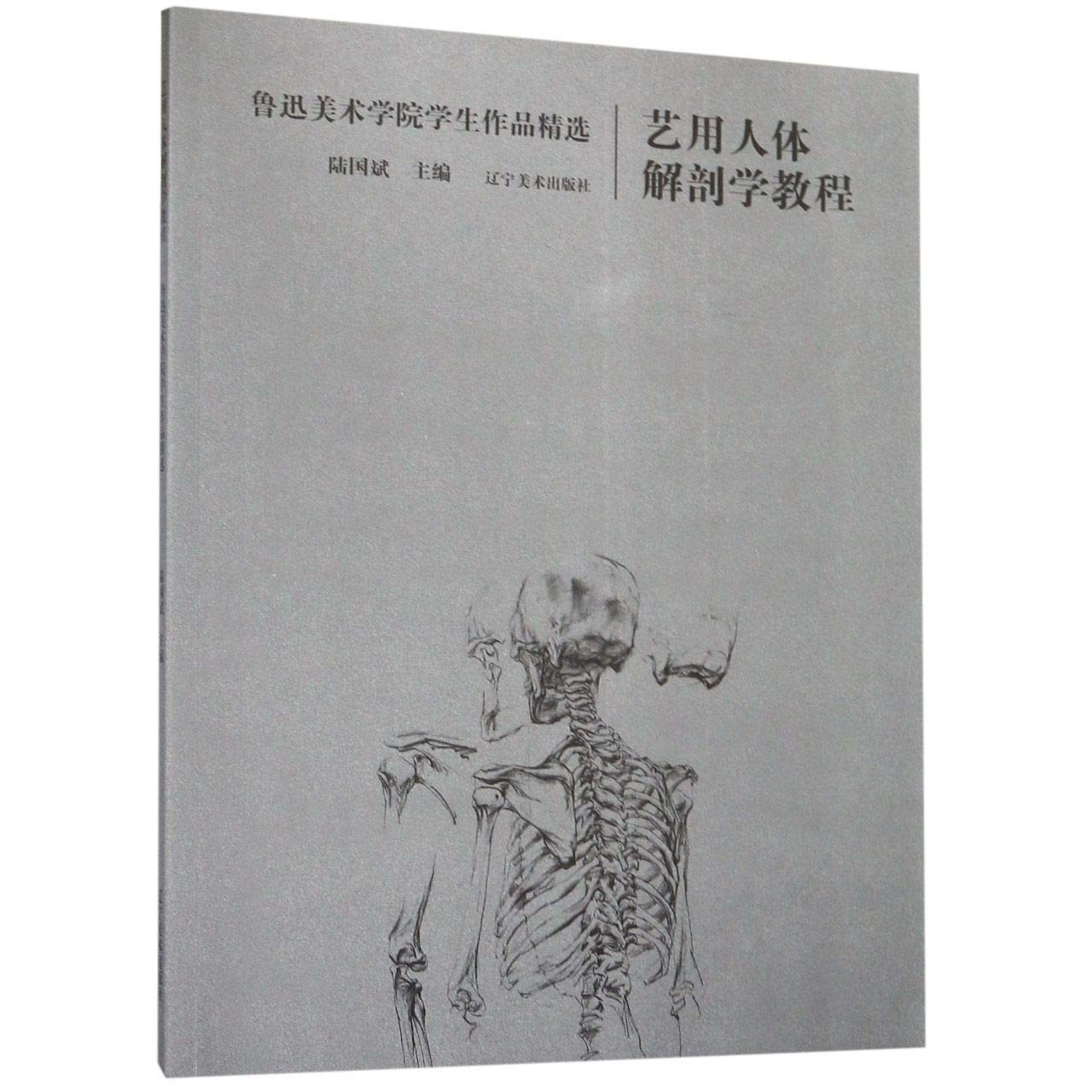 艺用人体解剖学教程 鲁迅美术学院学生作品精选 匿名 匿名 Amazon Com Books