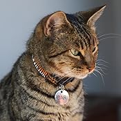 beastie bands amazon