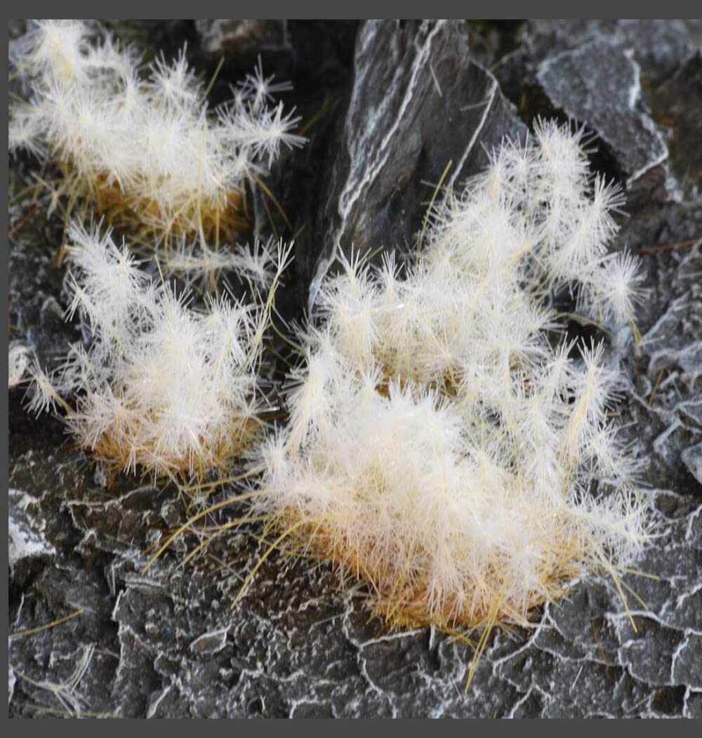 Spikey Winter Tufts, 12mm, Gamers Grass, Modeling/Miniatures/Wargamming