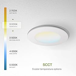ASD Fire Rated Recessed Light 4 Inch, 5 Colors