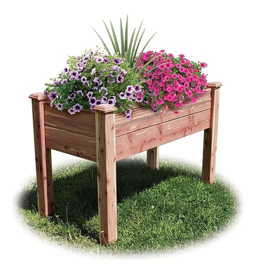 Kit de Cama elevada jardín: Amazon.es: Jardín