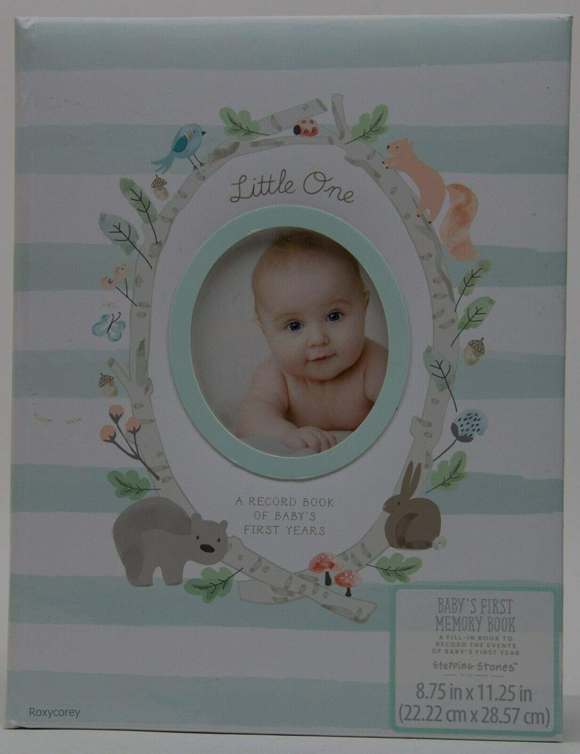 stepping stones baby's first memory book