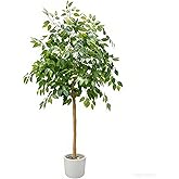 Artificial Ficus Tree, 6Ft Tall Fake Ficus Plant with White Pot, Green Silk Tree with Adjustable Realistic Branches and Leaves,Green All Season Long ,Faux Plant for Indoor Outdoor& House Decor