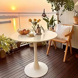 Howhio White Round Dining Table, 24 Inches Tulip