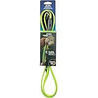 Nite Ize NiteDog Rechargeable LED Leash, USB Rechargeable 5 Foot Light Up Dog Leash w/Padded Handle, Lime