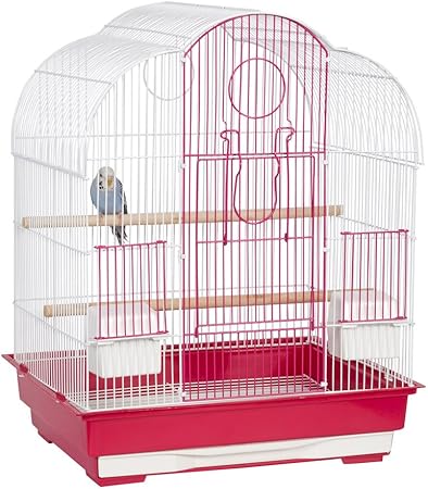 remove cat pee from clothes