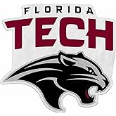 Rico Industries NCAA Florida Tech Panthers Shape Cut Pennant - Home and Living Room Décor - Soft Felt EZ to Hang