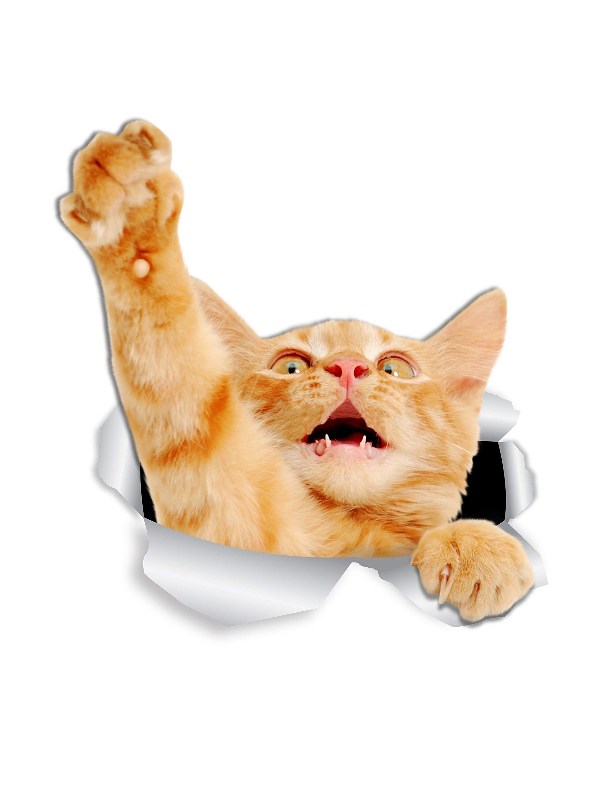 Ginger Cat Wall Decals - 2 Pack - Orange 3D Sticker Decals for Walls, Cars, Toilet and More - Retail Packaged Winston & Bear Gifts