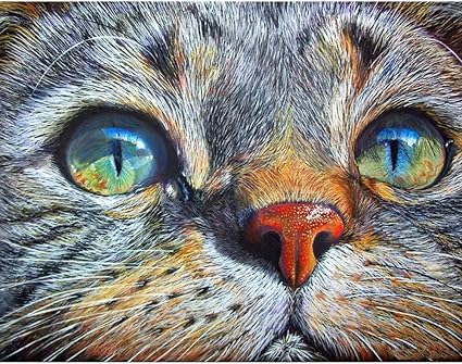 Zdwawz Peinture En Diamant 5d Diy Peinturepar Numero Tete De Chat Peinture Au Diamant 5d Diamond Painting Kits Salon Chambre Decoration 30x50cm Amazon Fr Cuisine Maison