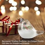 Fuoliystep Glass Storm Glass Weather Forecaster Barometer Predictor Office Home view 2