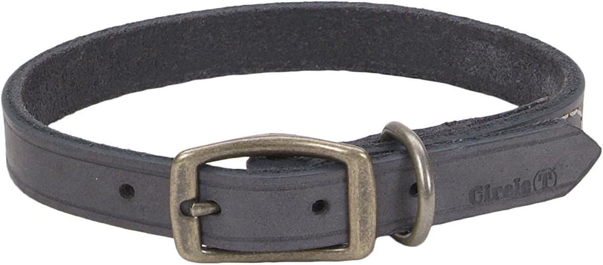 rustic leather dog collar