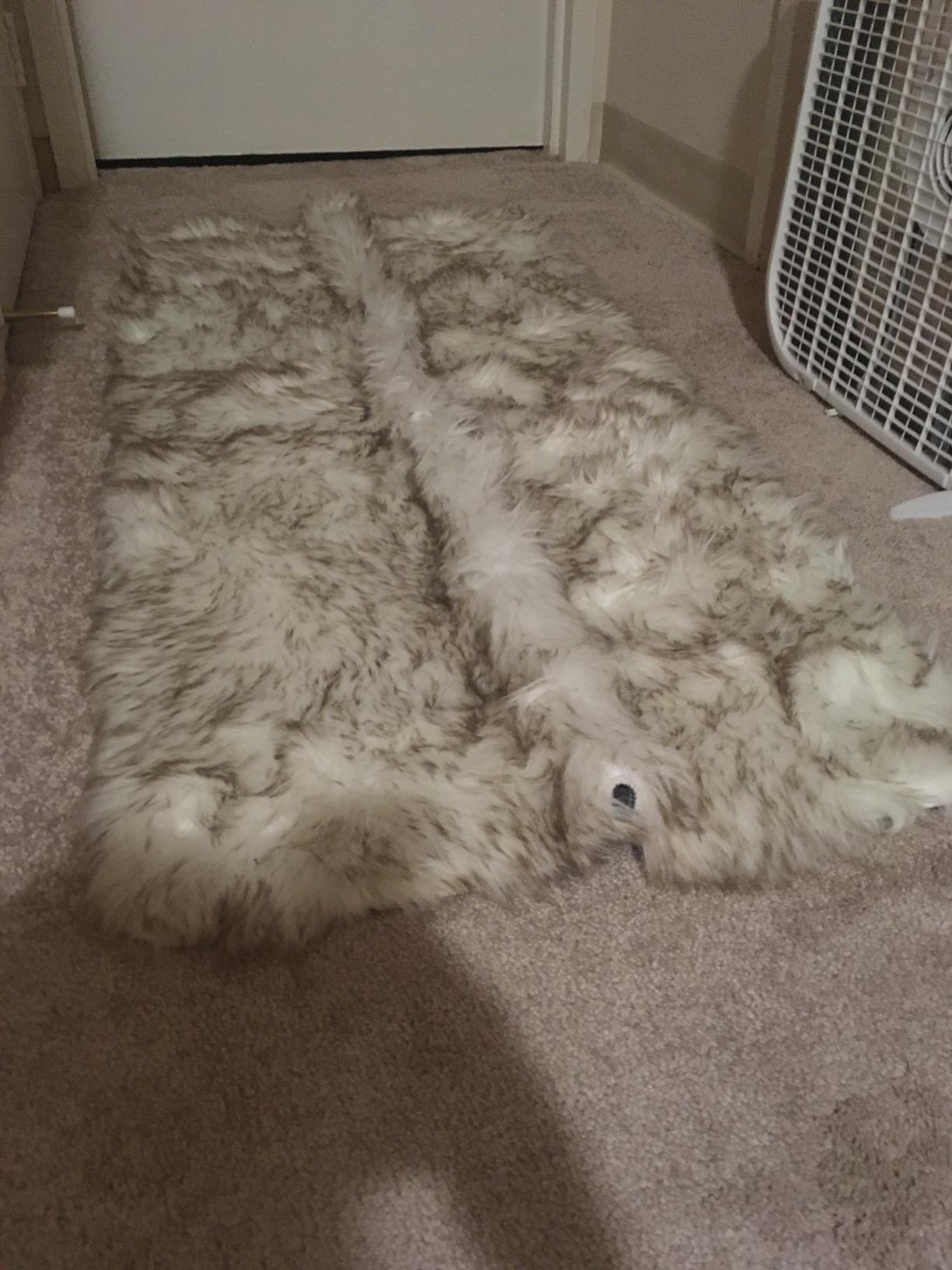 21/mo Finance Gorilla Grip Thick Fluffy Faux Fur Washable Rug, 6x9