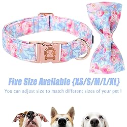 MR. CHUBBYFACE Ink Style Flower Dog Collar with Bow