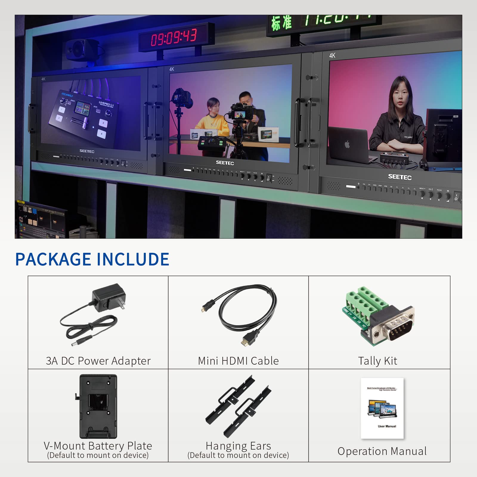 SEETEC P173-9HSD-RM 17.3