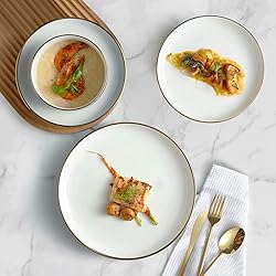 Pokini Reactive Glaze Dinnerware Sets, 12 Piece