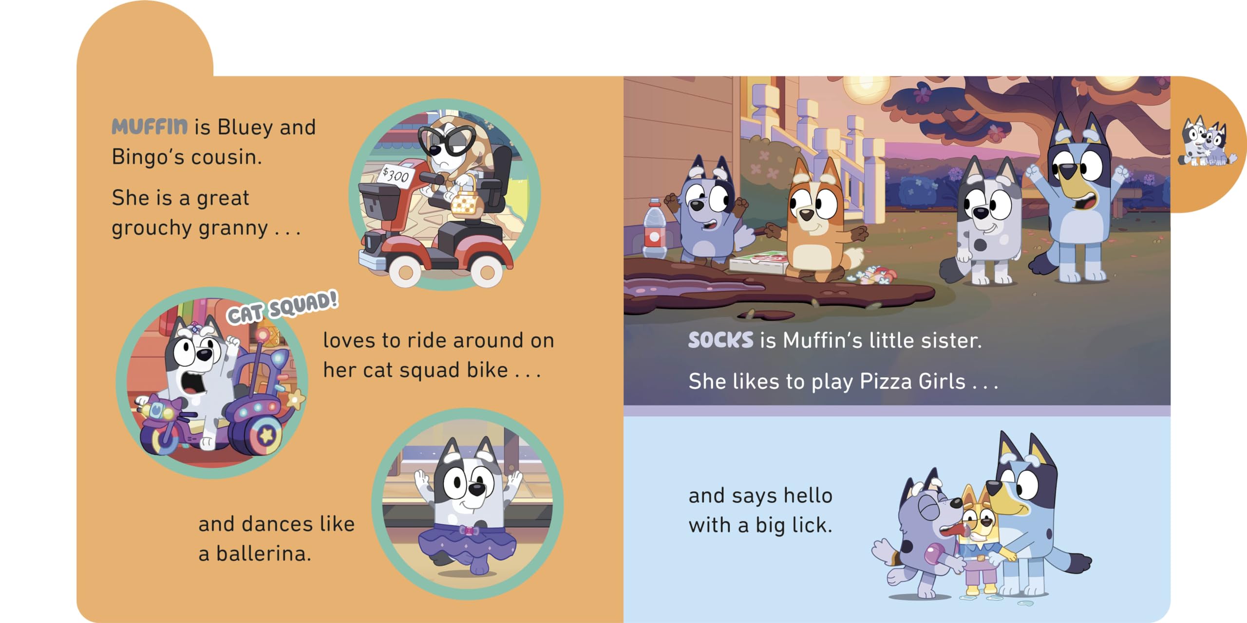 Meet Bluey's Family: A Tabbed Board Book