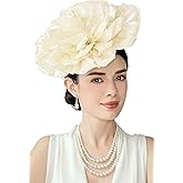BABEYOND Fascinators Hats for Women - Tea Party Kentucky Fascinator Derby Hat Multi Layered Flower Headpiece with Hair Clip